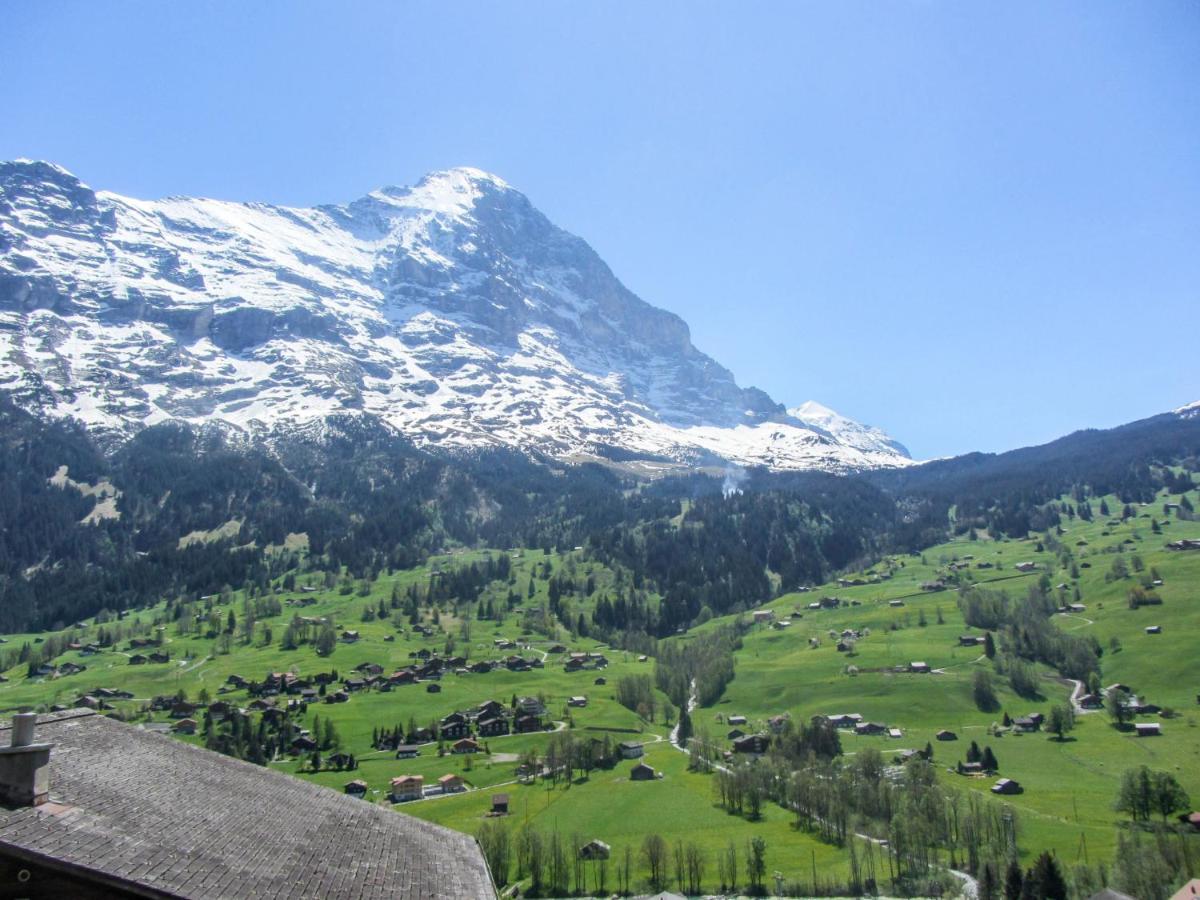 جريندلوالد Apartment Chalet Mittelhorn-1 المظهر الخارجي الصورة