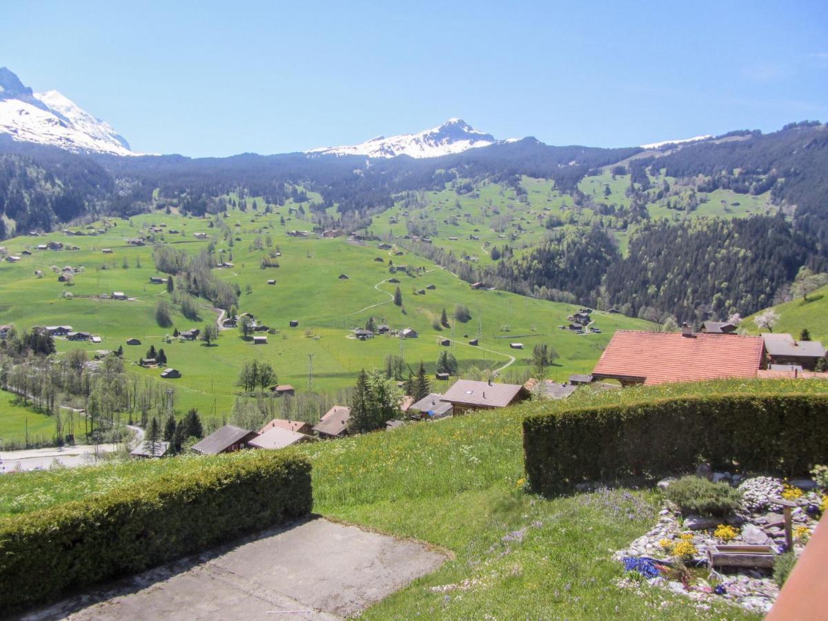 جريندلوالد Apartment Chalet Mittelhorn-1 المظهر الخارجي الصورة