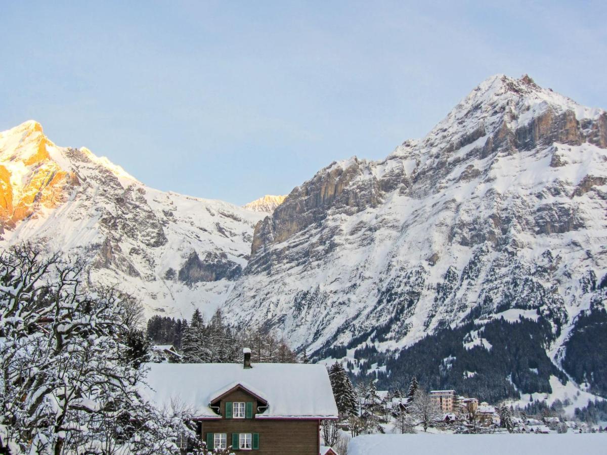 جريندلوالد Apartment Chalet Mittelhorn-1 المظهر الخارجي الصورة